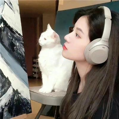 冒牌特工